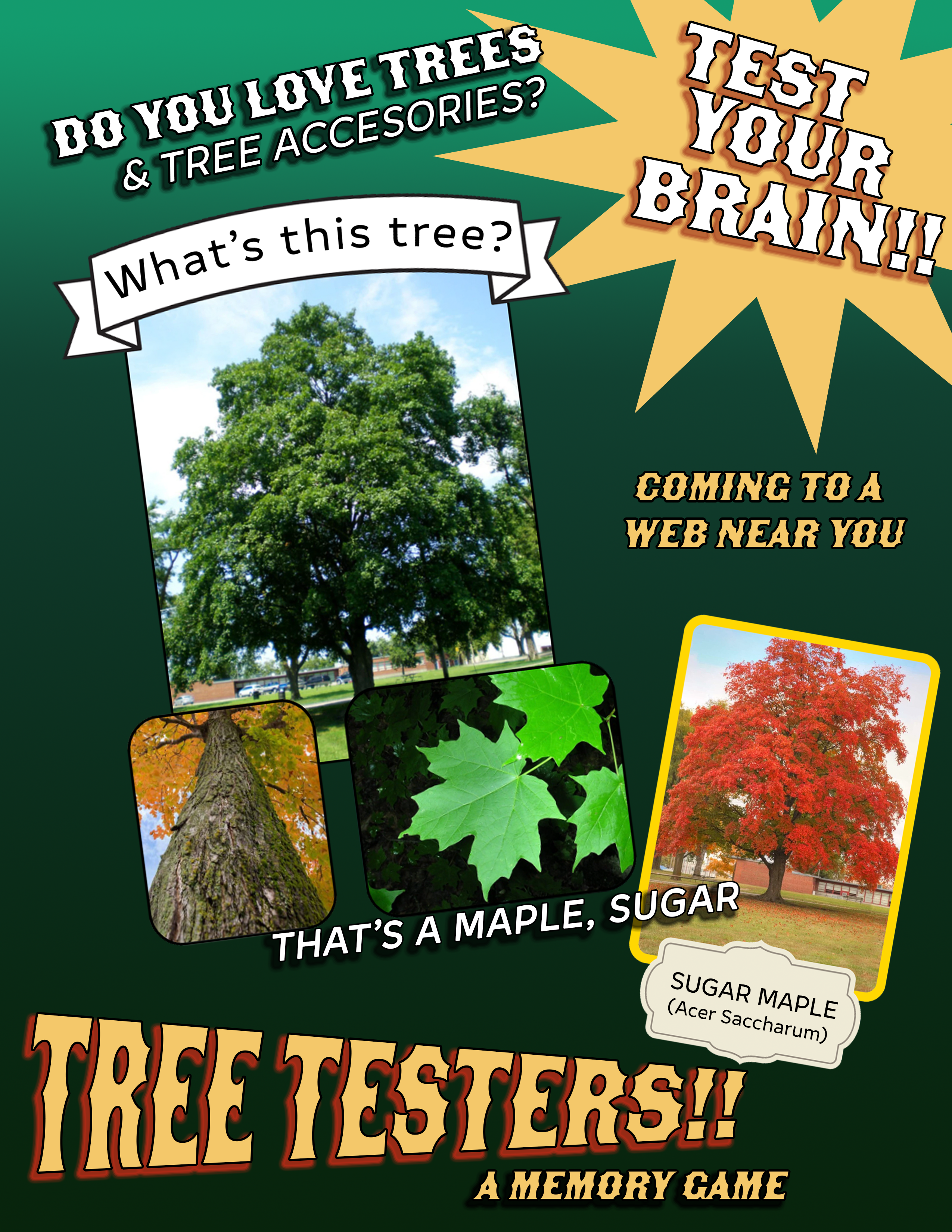 Tree Testers2