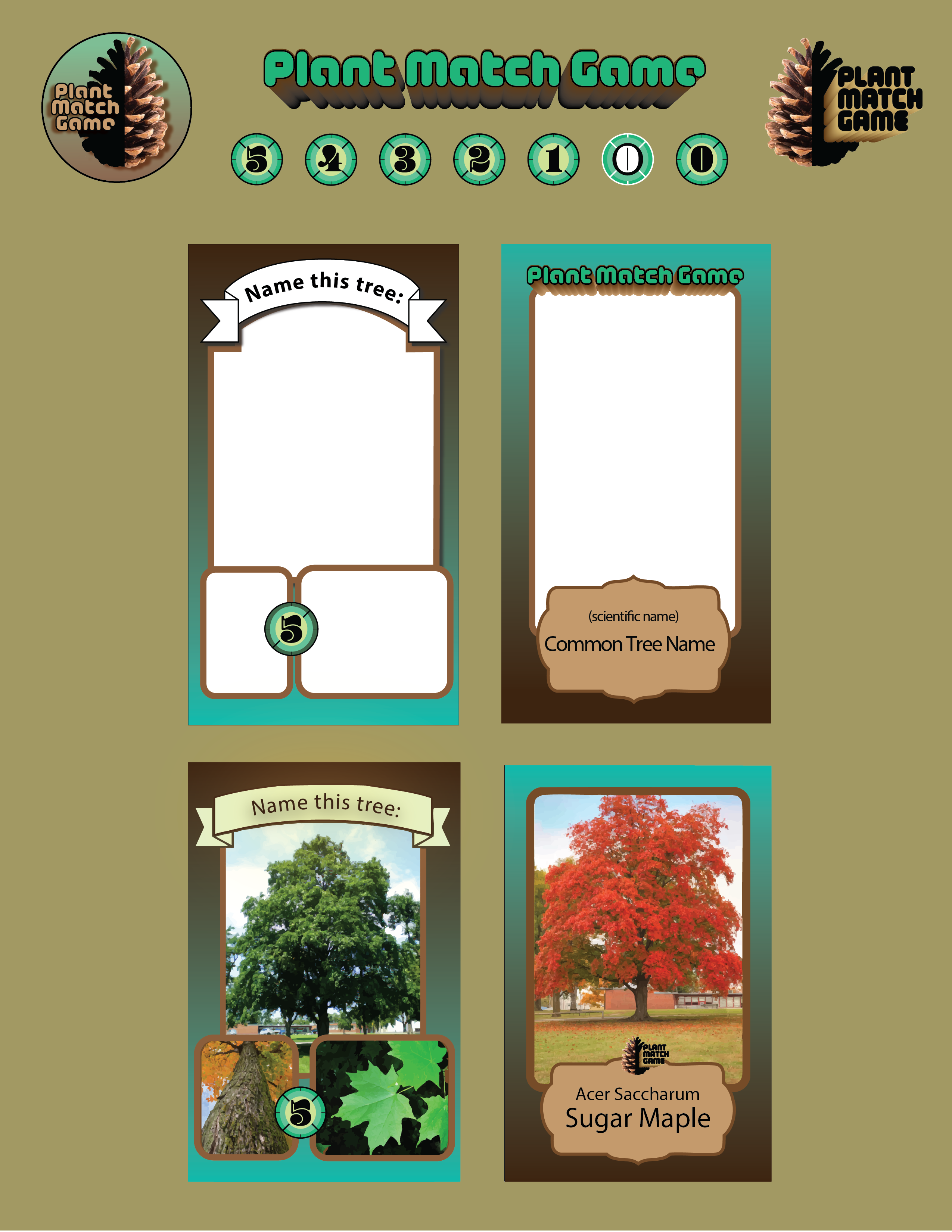 Asset sheet preview